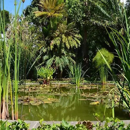 Σπίτι διακοπών In Puerto Near Playa Jardin *