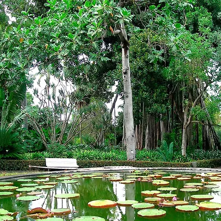 In Puerto Near Playa Jardin * Πουέρτο Ντε Λα Κρουζ
