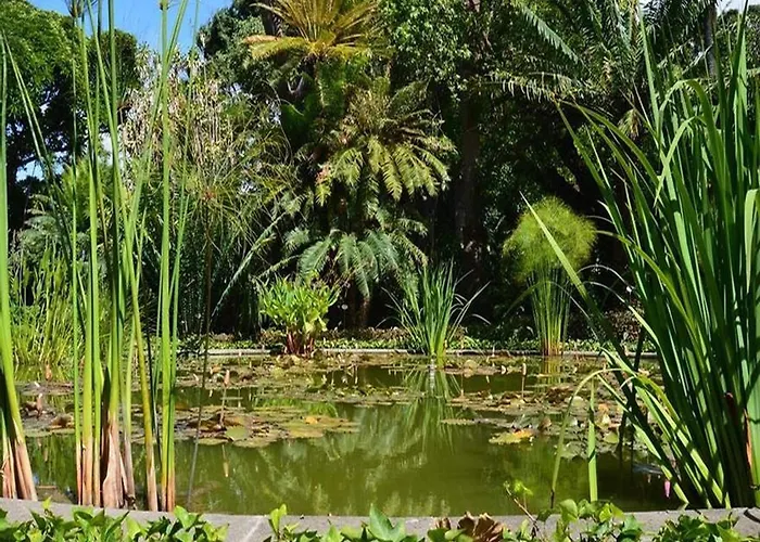 Prázdninový dům In Puerto Near Playa Jardin *